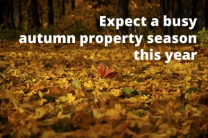 Expect a busy autumn property season this year