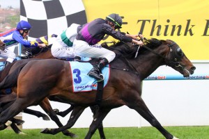 Fiorente wins the Melbourne Cup 2013