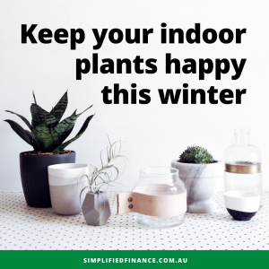 Keep your indoor plants happy this winter